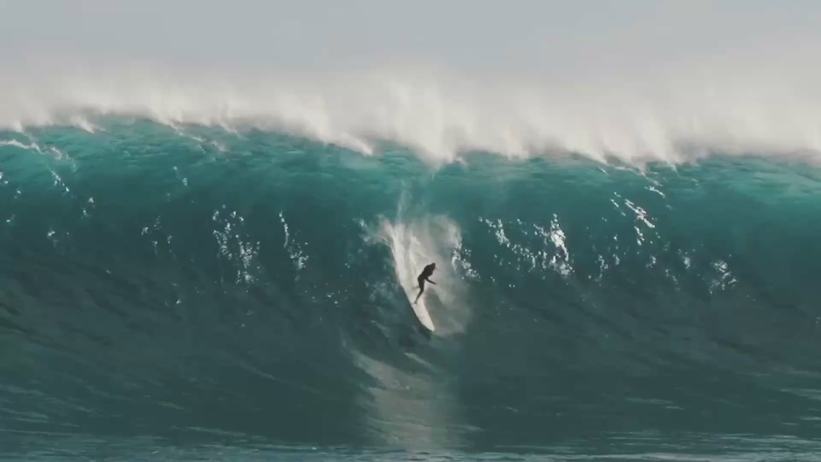 Extreme sports video of surfing wipe-outs, shark jumping, funnel-web attacking in Australia