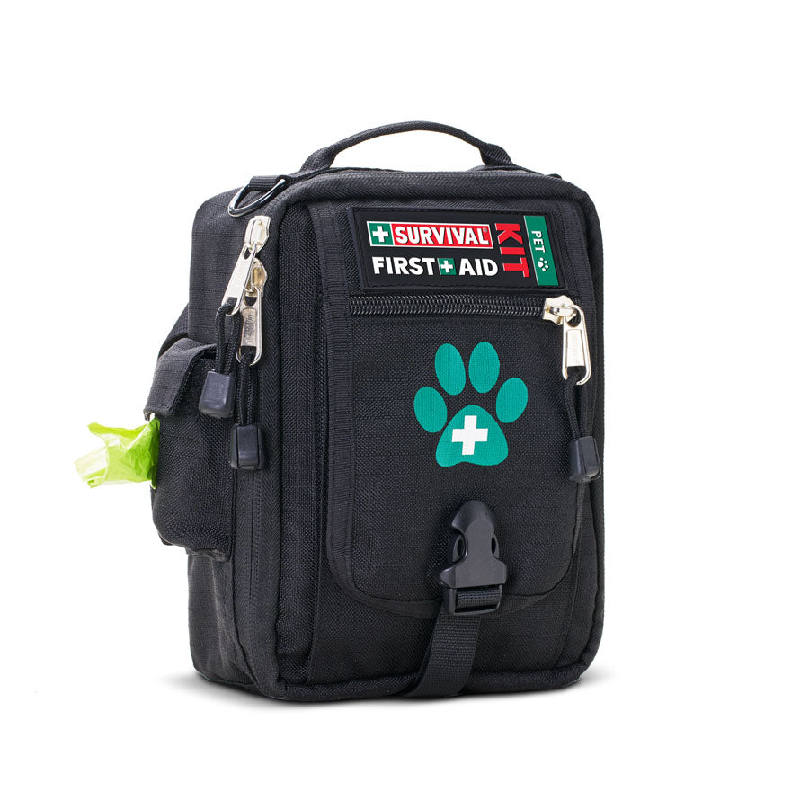 Pet First Aid Kits: Essential Safety for Your Furry Friends