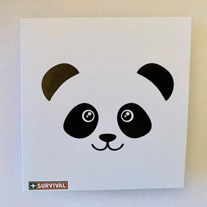 3ply Reusable, Washable Cloth Face Mask, Kids Panda
